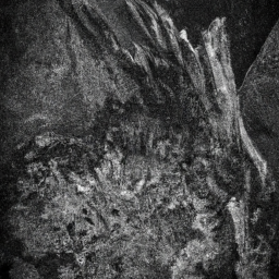 "Patchin' me life after that scallywag Helene, one muck-covered portrait at a time, arrr!"